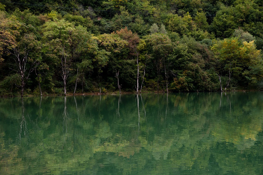 _dsc9249.jpg