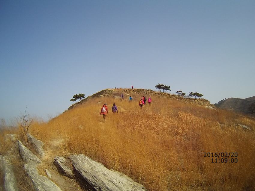 file0029.jpg
