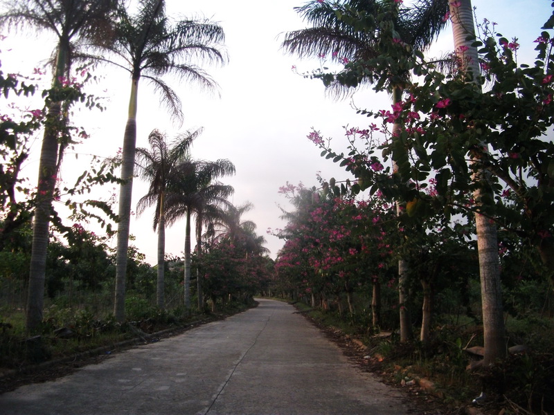 dscf0200.jpg