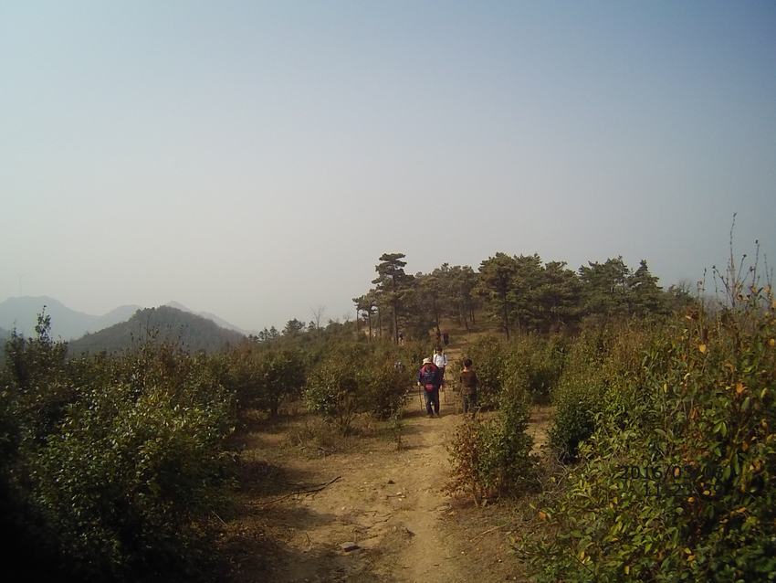 file0021.jpg