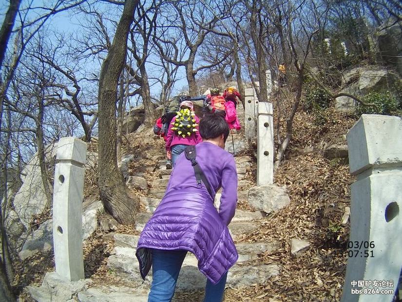 1204127s4nqqm48sss6gnv.jpg