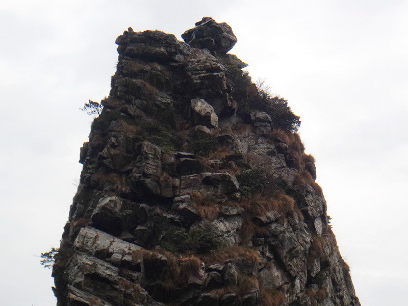 dsc09821.jpg