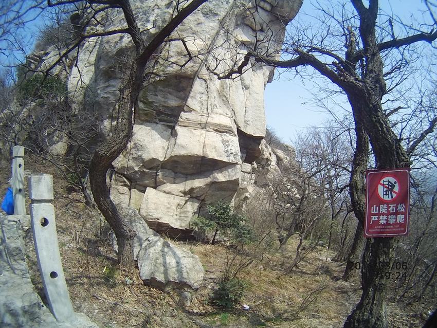 file0059.jpg
