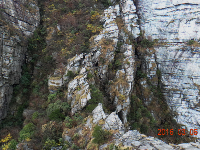 dsc09789.jpg
