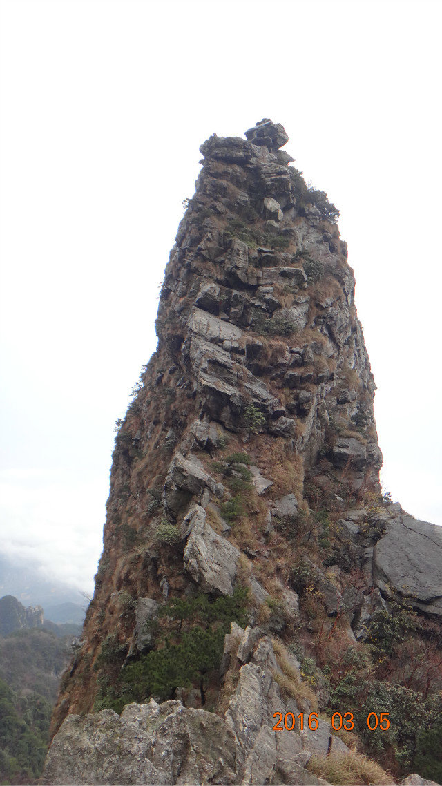 dsc09824.jpg