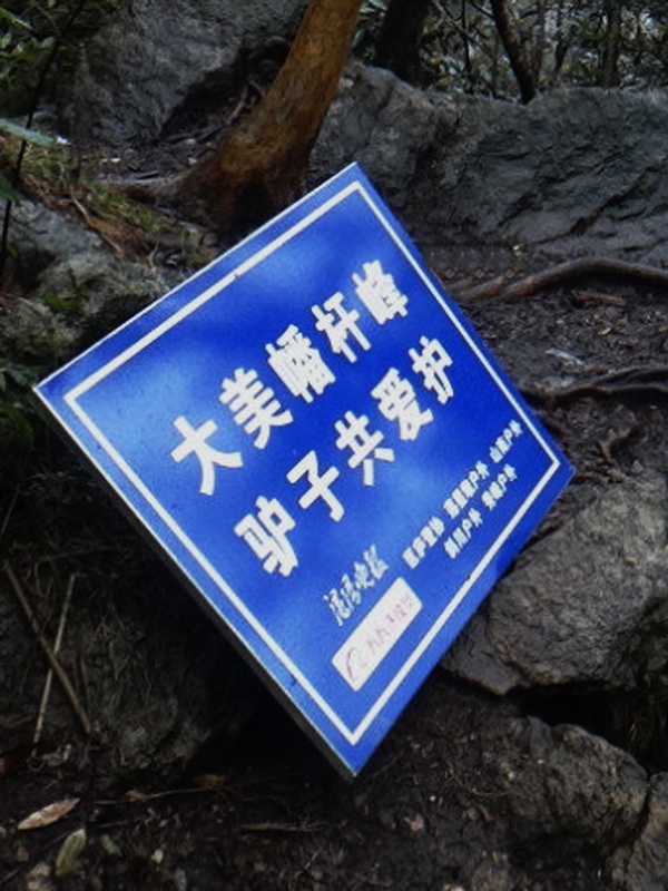 dsc09645.jpg