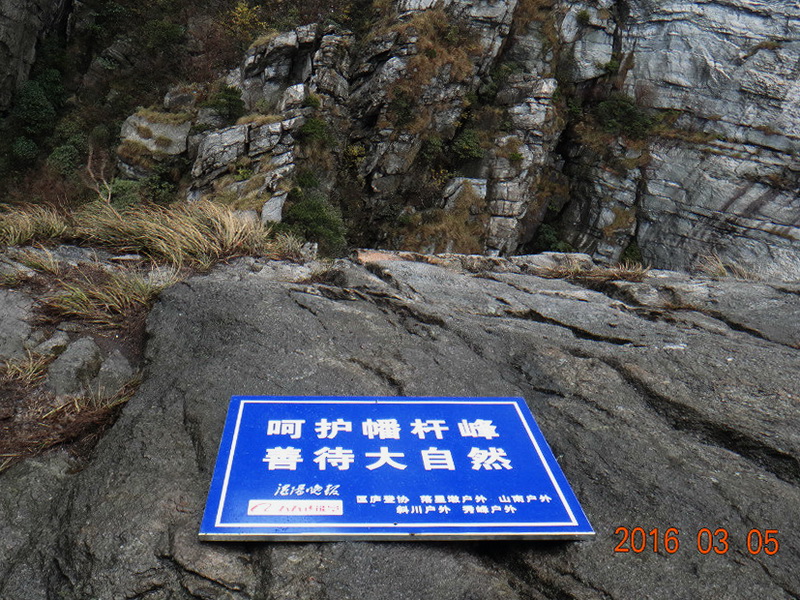 dsc09685.jpg