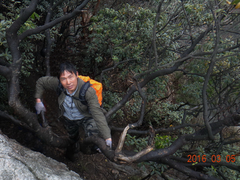 dsc09716.jpg