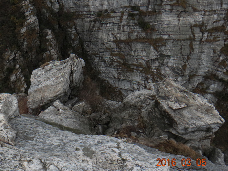 dsc09754.jpg