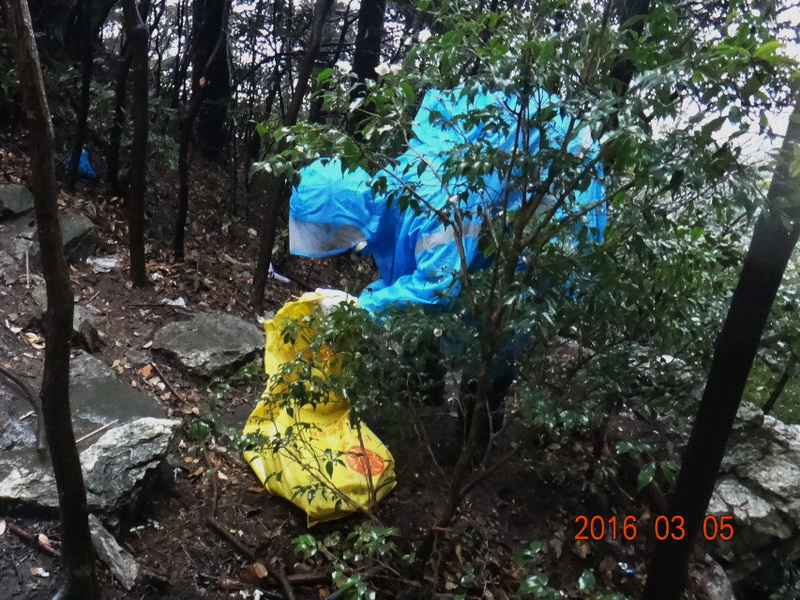 dsc09622.jpg