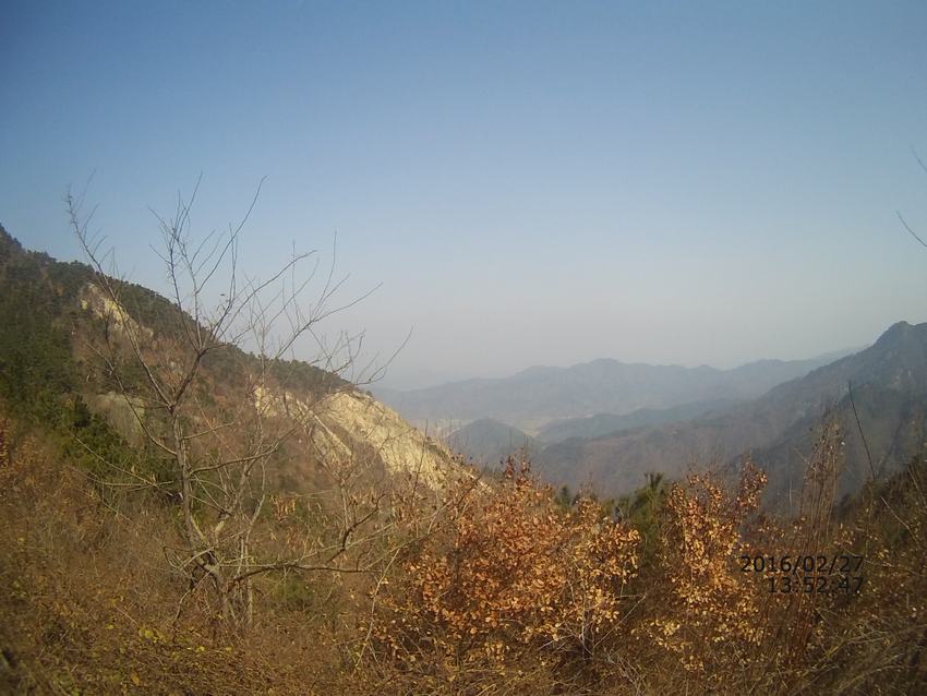 03.jpg