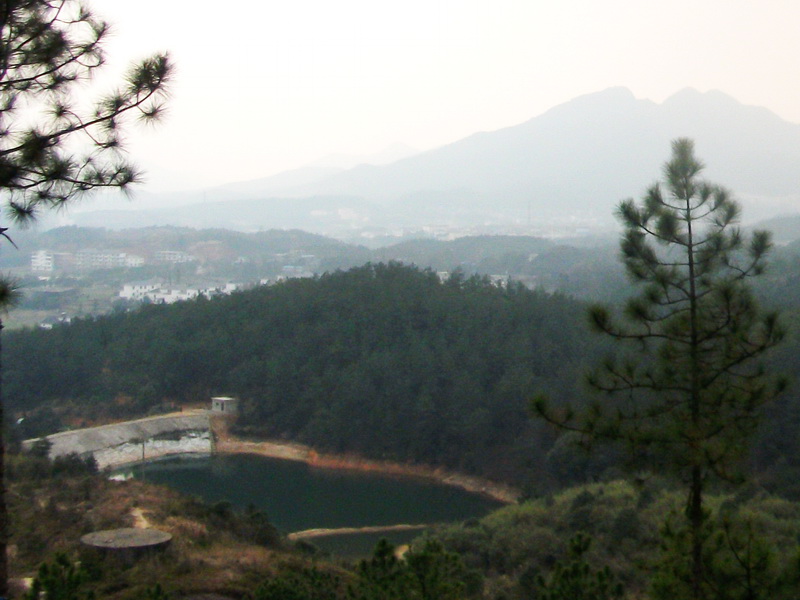 dscf0872.jpg