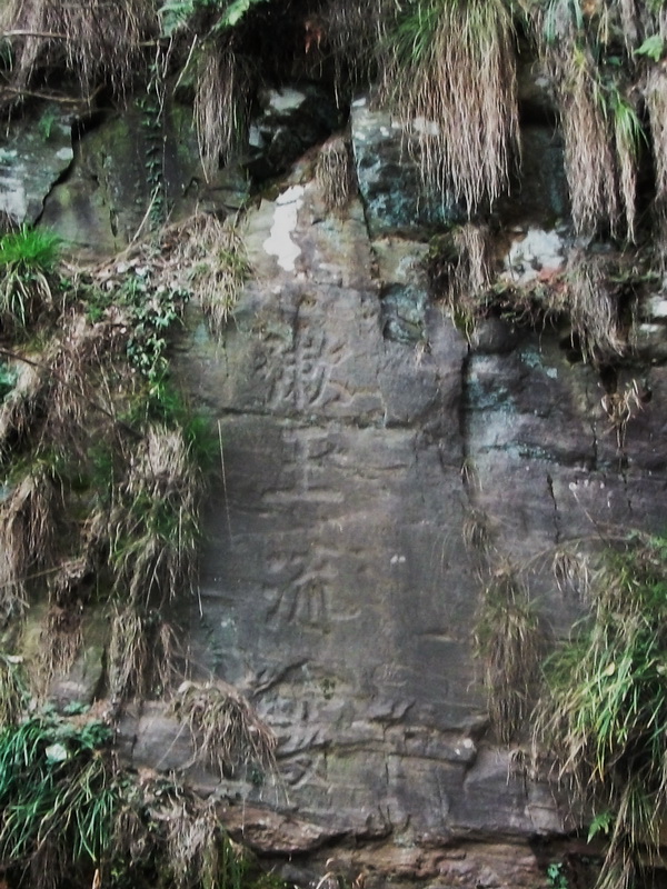 dscf0881.jpg
