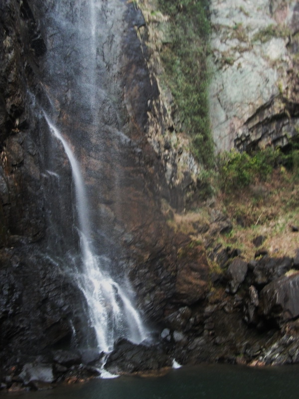 dscf0883.jpg