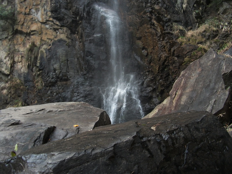 dscf0886.jpg