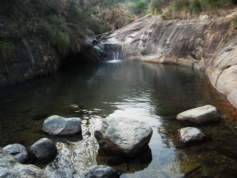 dscf0919.jpg