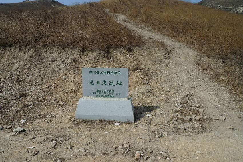 01.jpg
