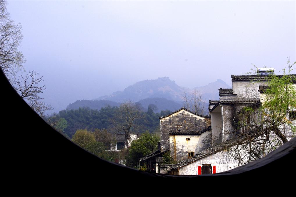 _igp0355.jpg