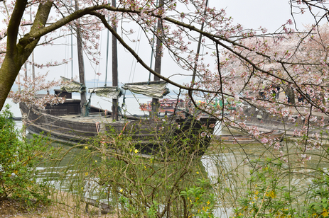 dsc_5593_1.jpg