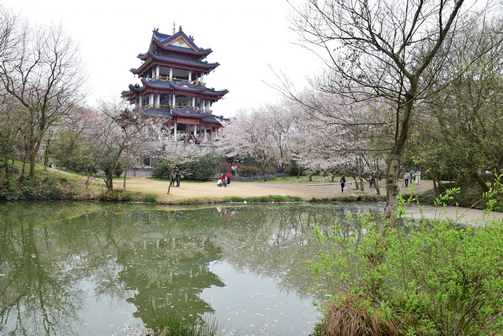dsc_5678_1.jpg