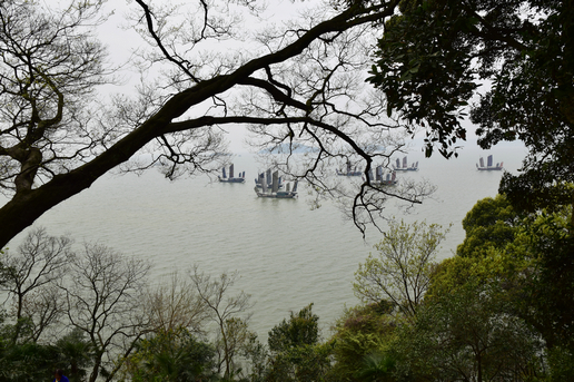 dsc_5629_1.jpg