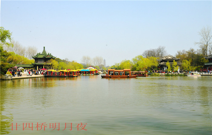 dsc_7436_����.jpg