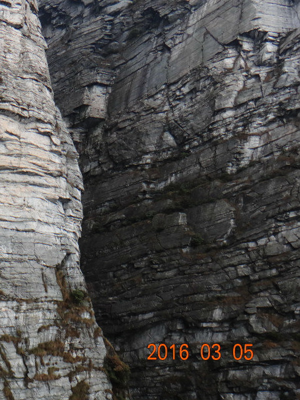 dsc09698.jpg