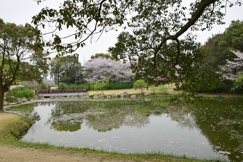 dsc_5424_1.jpg
