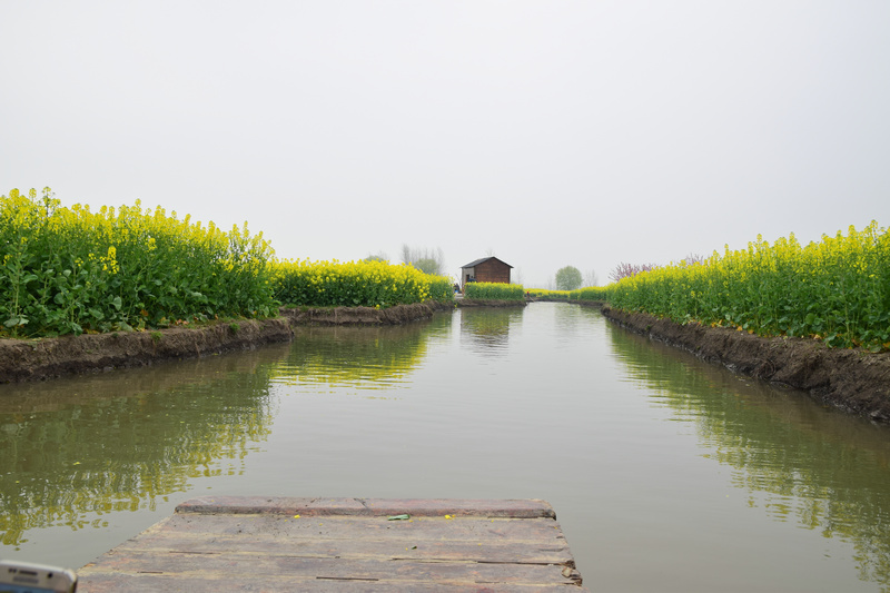 dsc_5745_1.jpg