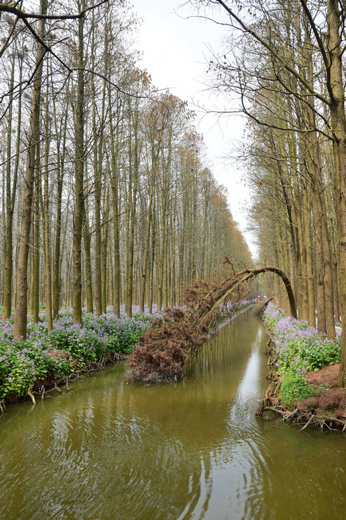 dsc_6052_1.jpg