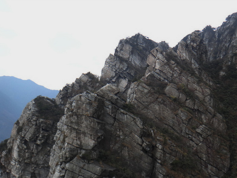 dsc09717.jpg