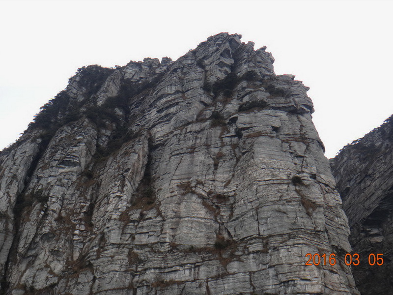dsc09728.jpg