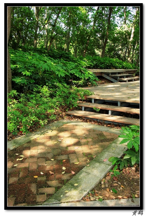 �����ﵺ���Ů��6113.jpg