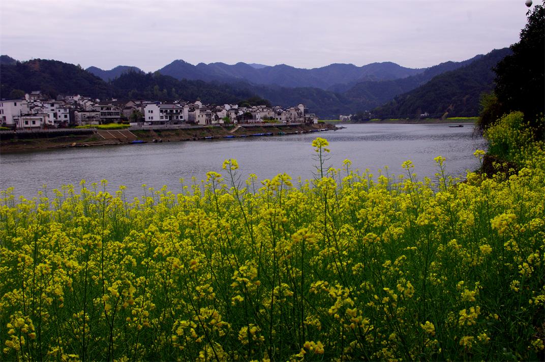 _igp9390.jpg