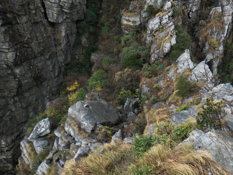 dsc09790.jpg