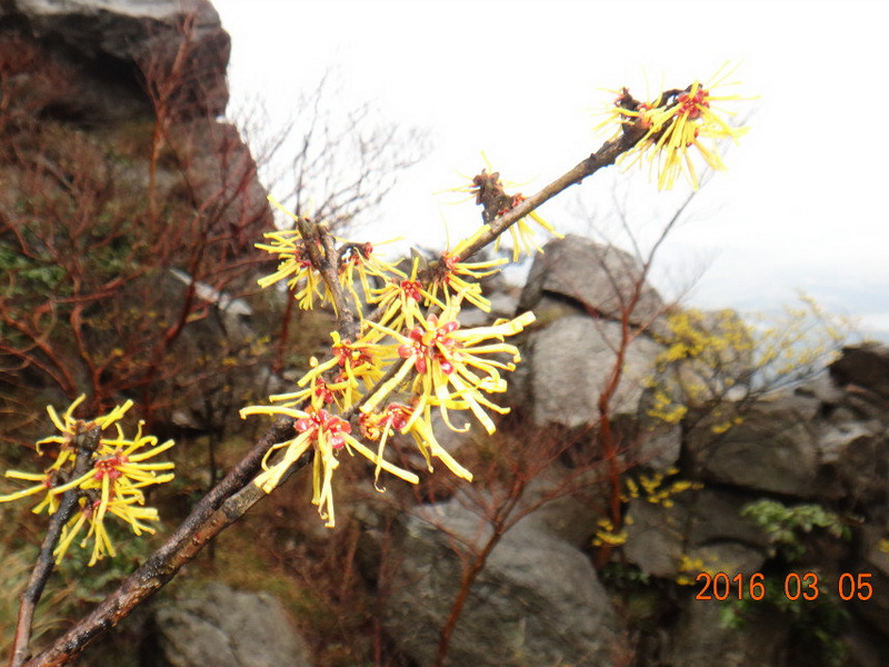 dsc09805.jpg