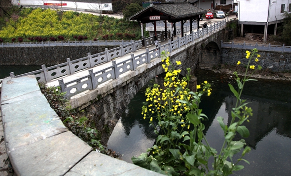 img_4287.jpg