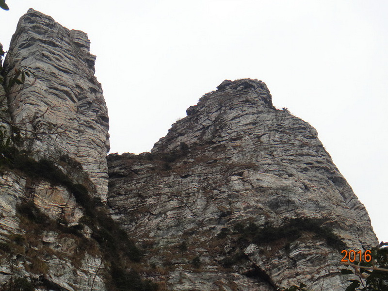 dsc09863.jpg