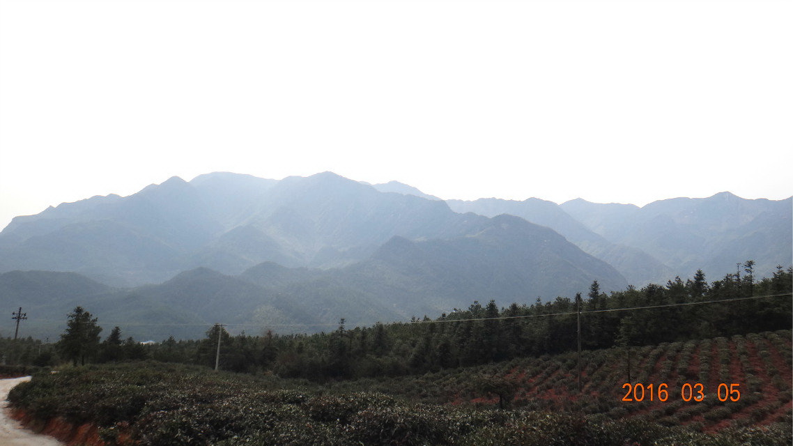dsc09874.jpg