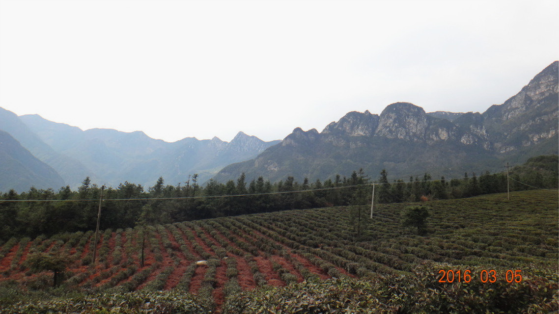dsc09875.jpg