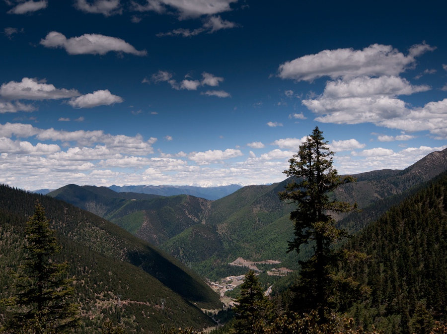 _dsc3146.jpg