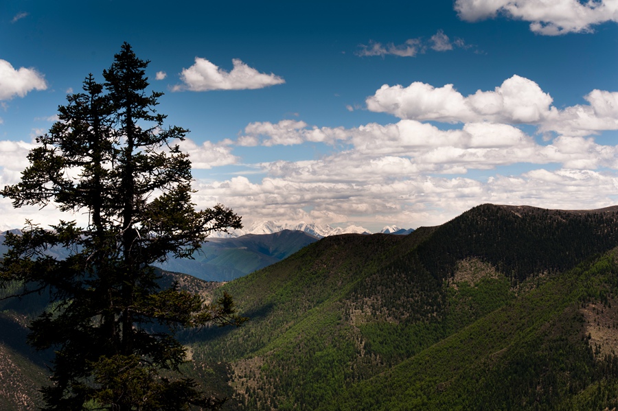 _dsc3155.jpg