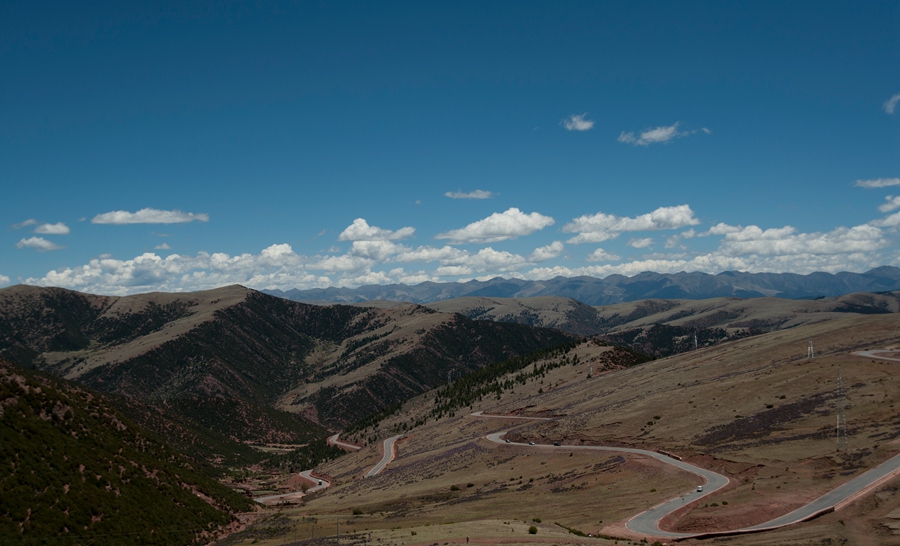 _dsc3374.jpg