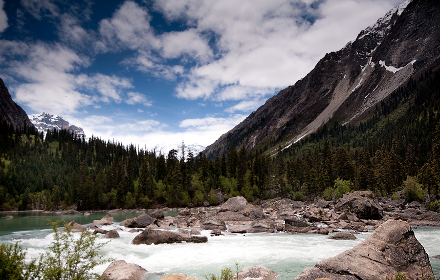 _dsc3736.jpg