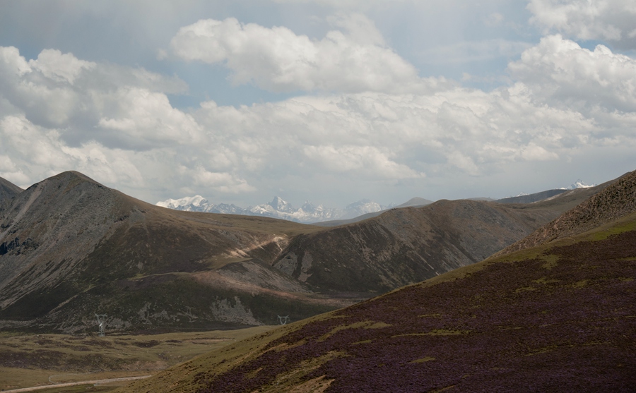 _dsc4374.jpg