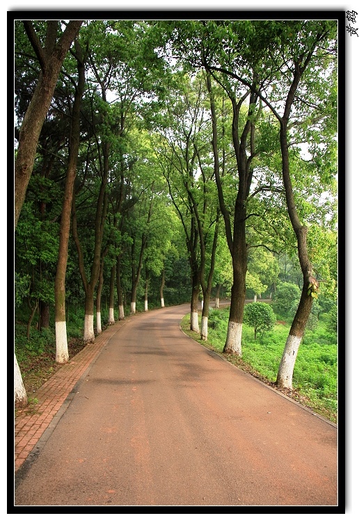 ����--���������ɽ��46.jpg