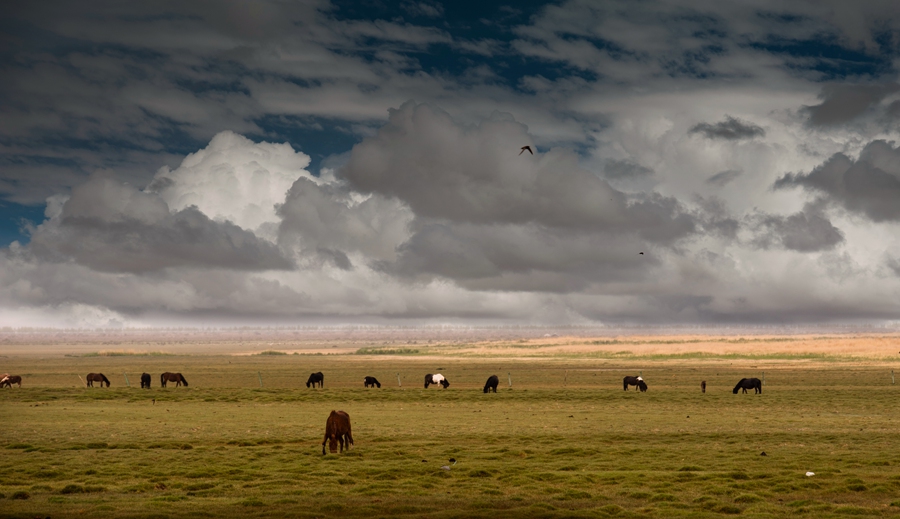 _dsc5216.jpg