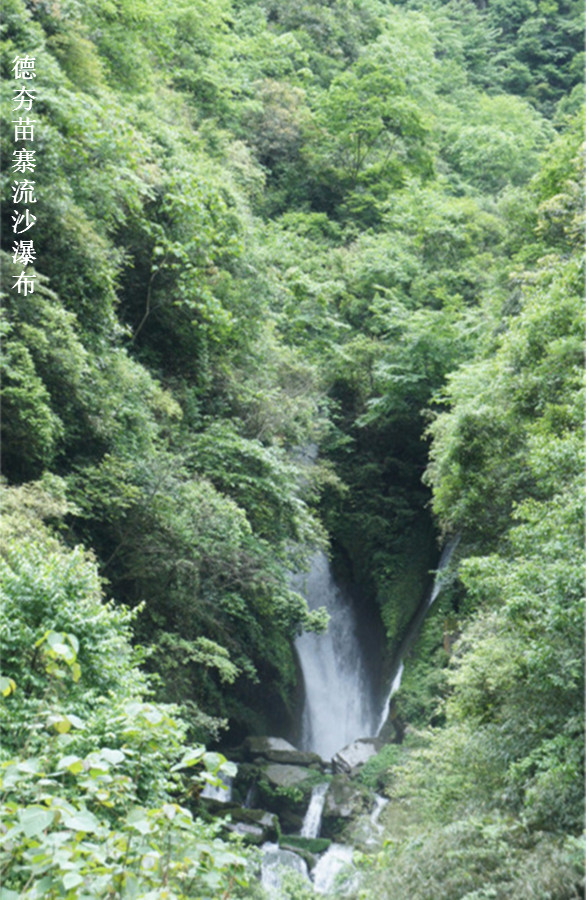 dsc00774_����1_��ת_����1.jpg