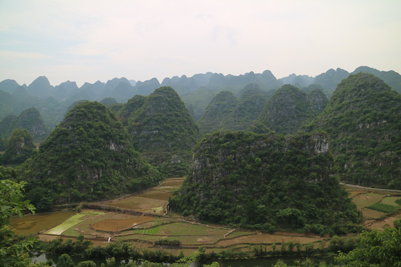 �����ƹ� 540_����.jpg