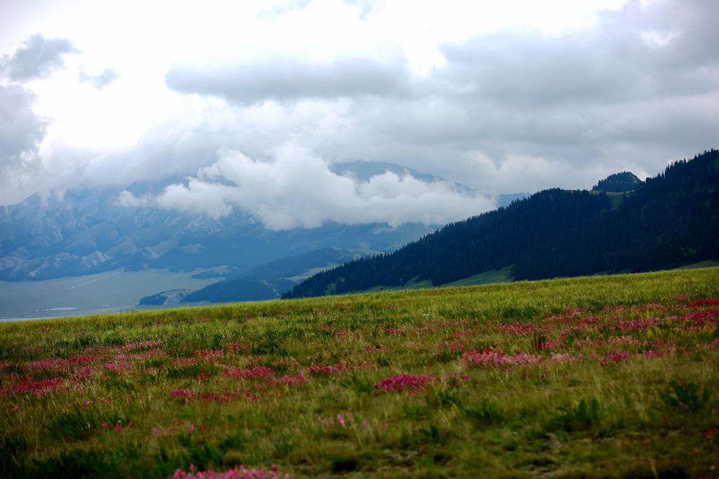 083a2027.jpg